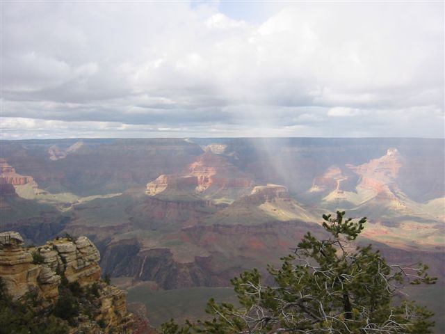 Arizona 045